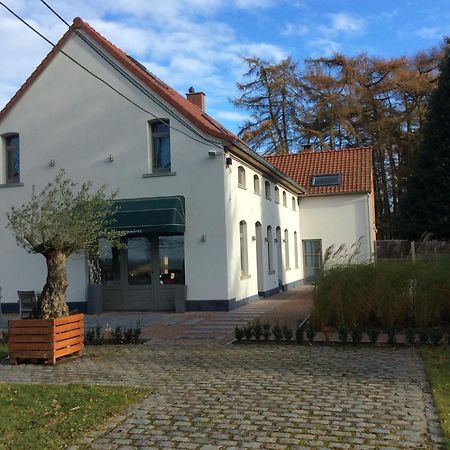 Villa Les Hauts Frasnes-lez-Anvaing Екстериор снимка
